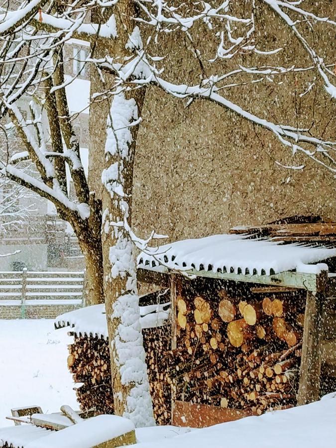 Le Bifore In Valle Predazzo Buitenkant foto